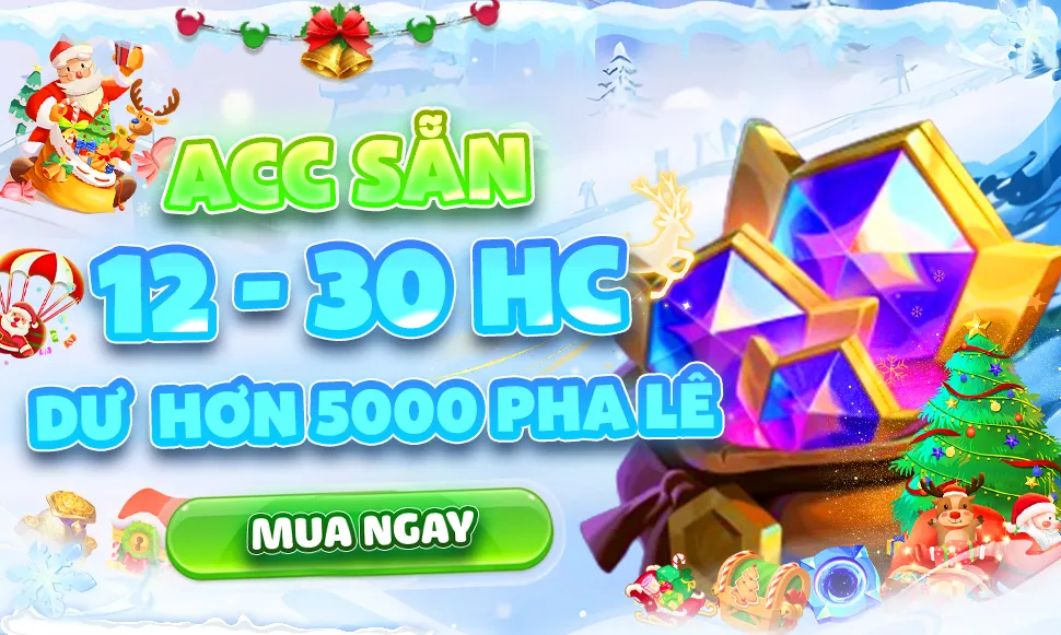 ACC CÓ 12-20HC VÀ HƠN 5000 PHA LÊ